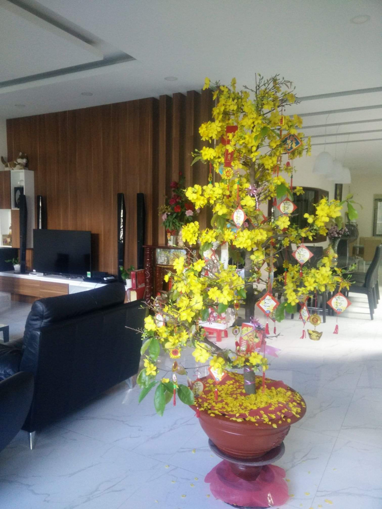 Khoe nhà tự làm Khoe nhà tự làm