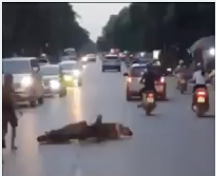 Thanh niên Việt bị tai nạn nằm co giật giữa đường, hàng chục người đi qua không cứu