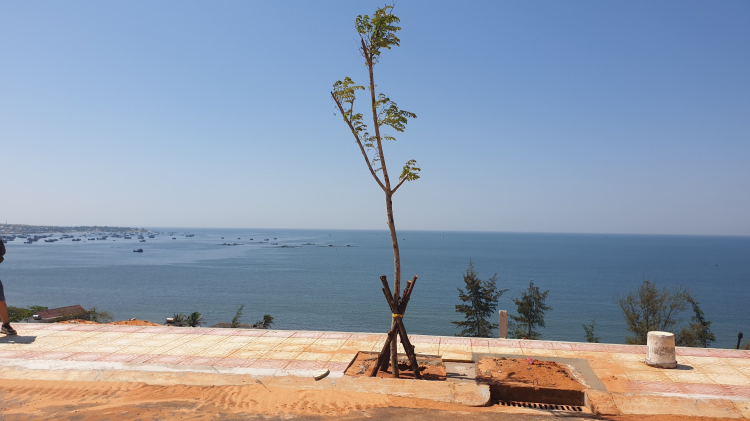 Phan Thiết giờ ra sao rồi mấy bác?