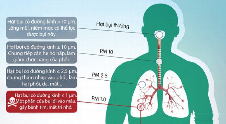 Máy lọc không khí chuyên dụng xe ô tô - khử mùi - diệt khuẩn IPURI