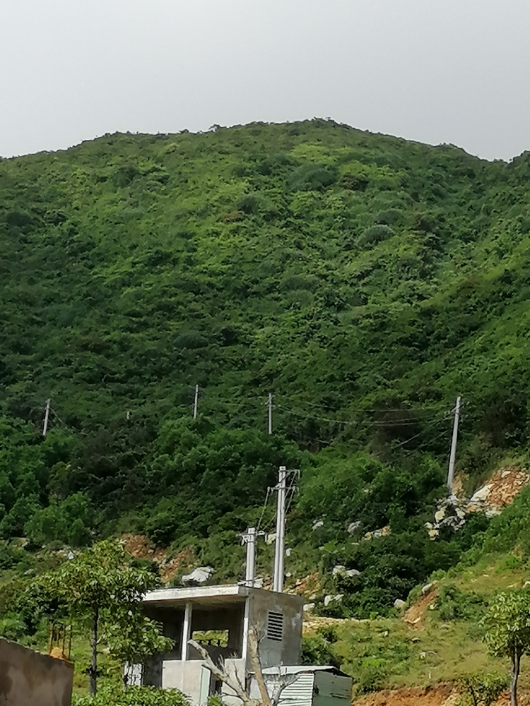 Tư vấn đi du lịch tự túc Sài Gòn - Quy Nhơn Tư vấn đi du lịch tự túc Sài Gòn - Quy Nhơn