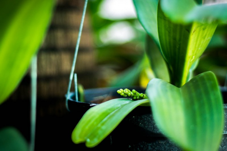 Vườn hoa của ... các bác! Em mời các bác vào đây ... trồng hoa ạ! Vườn hoa của ... các bác! Em mời các bác vào đây ... trồng hoa ạ!