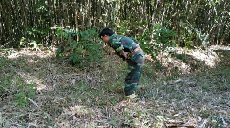 {TIỀN TRẠM}: ngày 17/1: Bù Gia Mập, về với những cánh rừng bạt ngàn,thả mình vào thiên nhiên