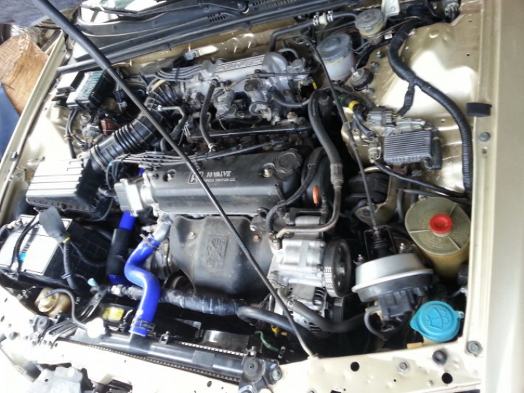 Đam mê honda accord 1990 Đam mê honda accord 1990