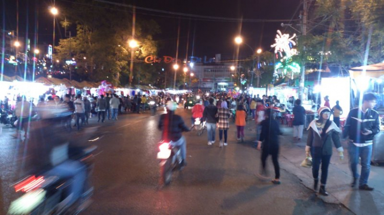 Tour cuối tuần Dalat ngắm hoa quỳ Tour cuối tuần Dalat ngắm hoa quỳ