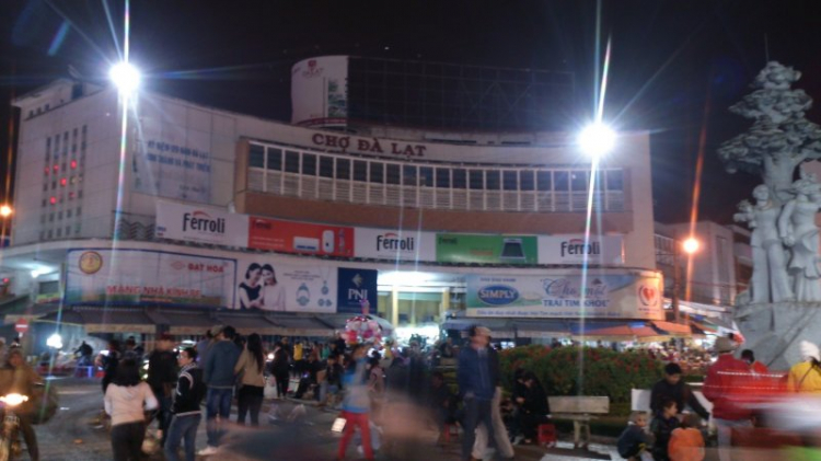 Tour cuối tuần Dalat ngắm hoa quỳ Tour cuối tuần Dalat ngắm hoa quỳ