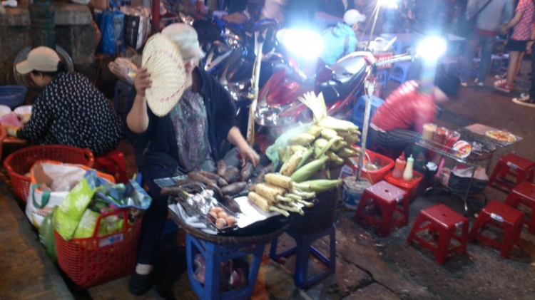 Tour cuối tuần Dalat ngắm hoa quỳ Tour cuối tuần Dalat ngắm hoa quỳ