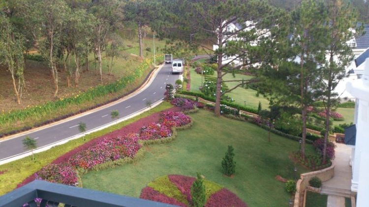 Tour cuối tuần Dalat ngắm hoa quỳ Tour cuối tuần Dalat ngắm hoa quỳ