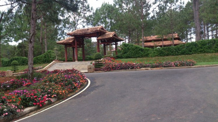 Tour cuối tuần Dalat ngắm hoa quỳ Tour cuối tuần Dalat ngắm hoa quỳ