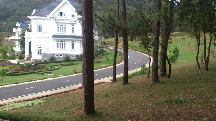 Tour cuối tuần Dalat ngắm hoa quỳ Tour cuối tuần Dalat ngắm hoa quỳ