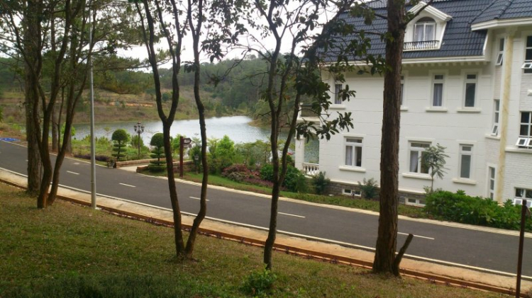 Tour cuối tuần Dalat ngắm hoa quỳ Tour cuối tuần Dalat ngắm hoa quỳ