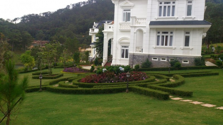 Tour cuối tuần Dalat ngắm hoa quỳ Tour cuối tuần Dalat ngắm hoa quỳ