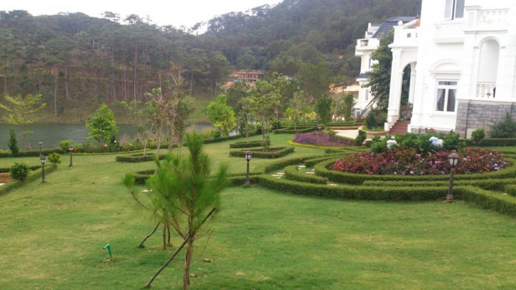 Tour cuối tuần Dalat ngắm hoa quỳ Tour cuối tuần Dalat ngắm hoa quỳ