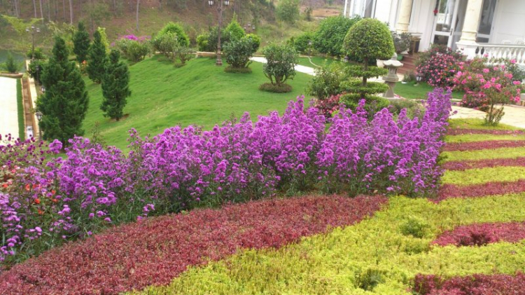 Tour cuối tuần Dalat ngắm hoa quỳ Tour cuối tuần Dalat ngắm hoa quỳ