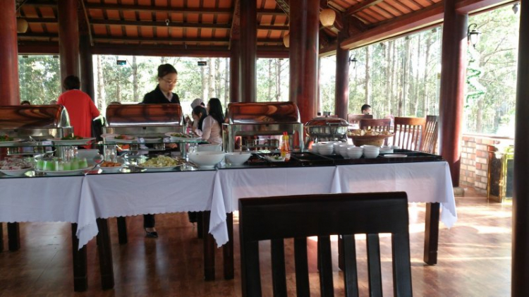 Tour cuối tuần Dalat ngắm hoa quỳ Tour cuối tuần Dalat ngắm hoa quỳ