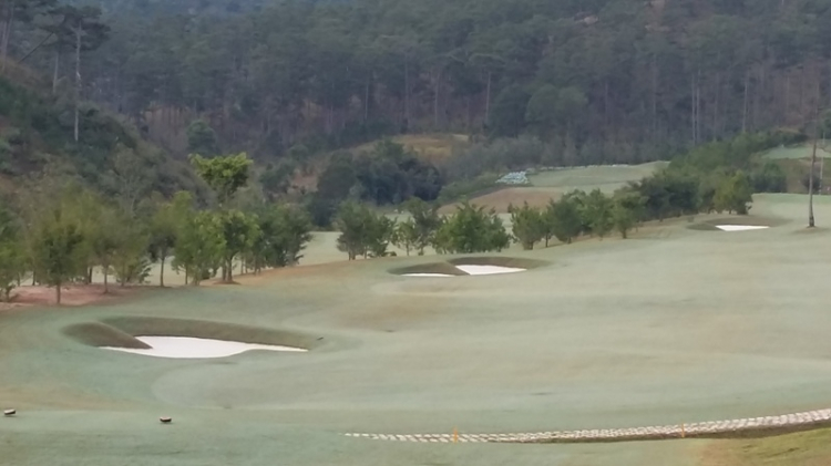 Câu lạc bộ Golf SFC Câu lạc bộ Golf SFC