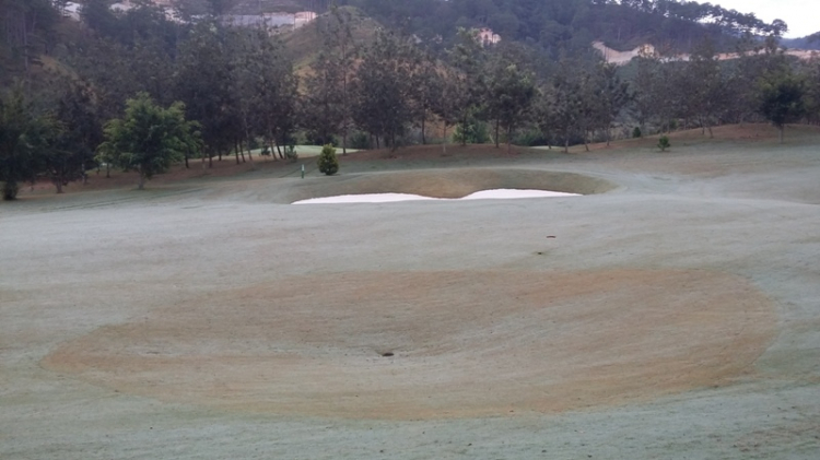 Câu lạc bộ Golf SFC Câu lạc bộ Golf SFC