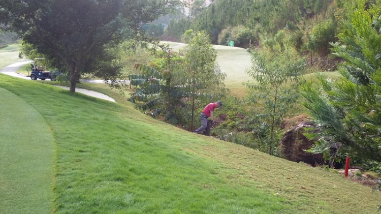 Câu lạc bộ Golf SFC Câu lạc bộ Golf SFC