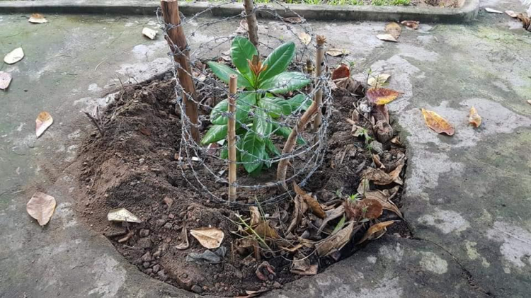 Đến với Trường Sa - sau 27 năm Đến với Trường Sa - sau 27 năm