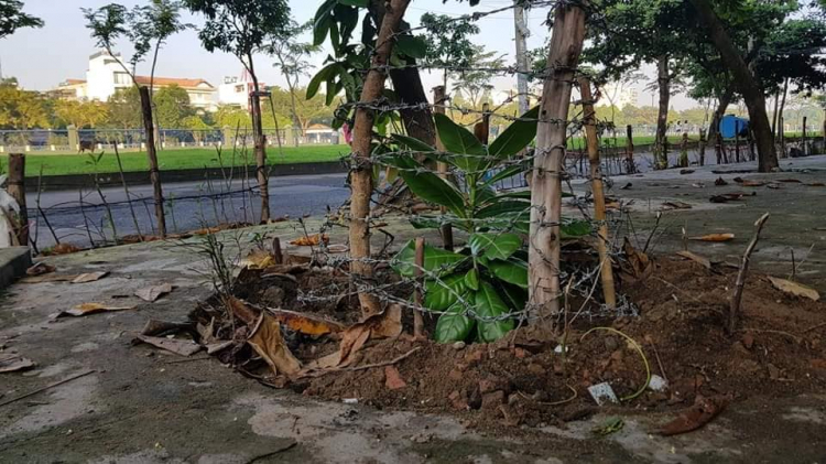 Đến với Trường Sa - sau 27 năm Đến với Trường Sa - sau 27 năm