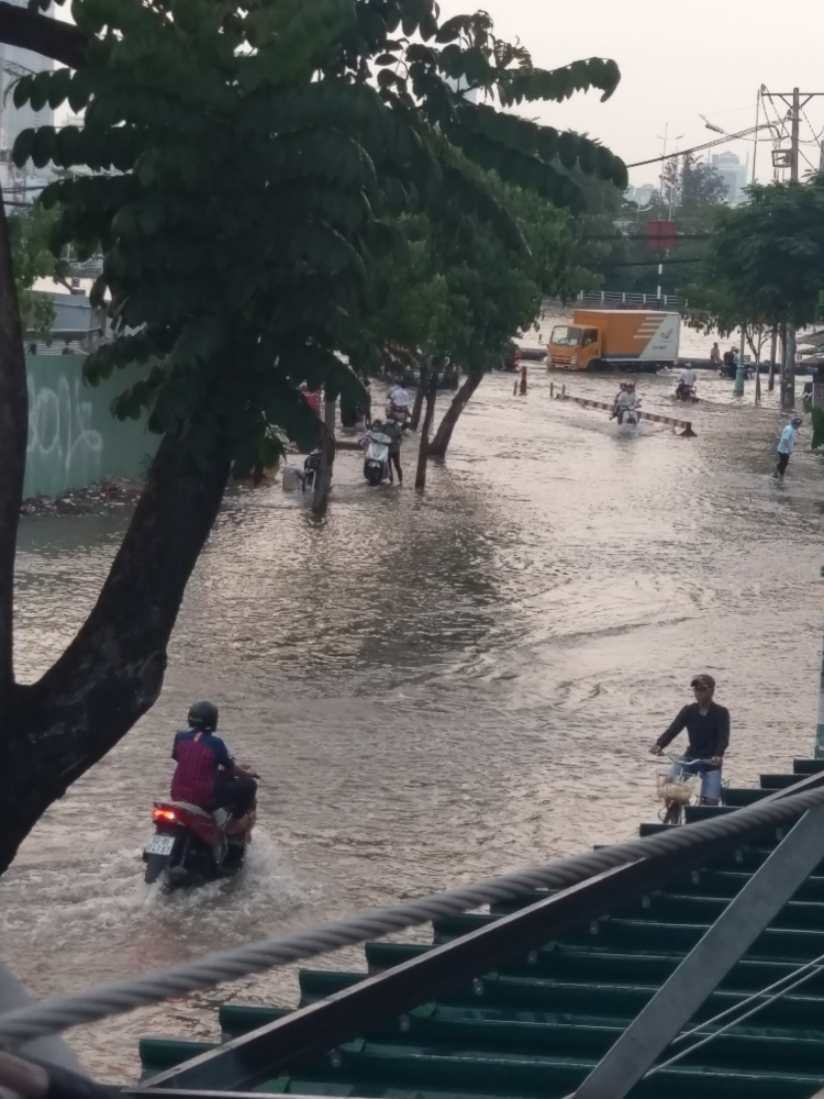 Đất lẻ Hiệp Bình Chánh giá bao nhiêu? (Mới)