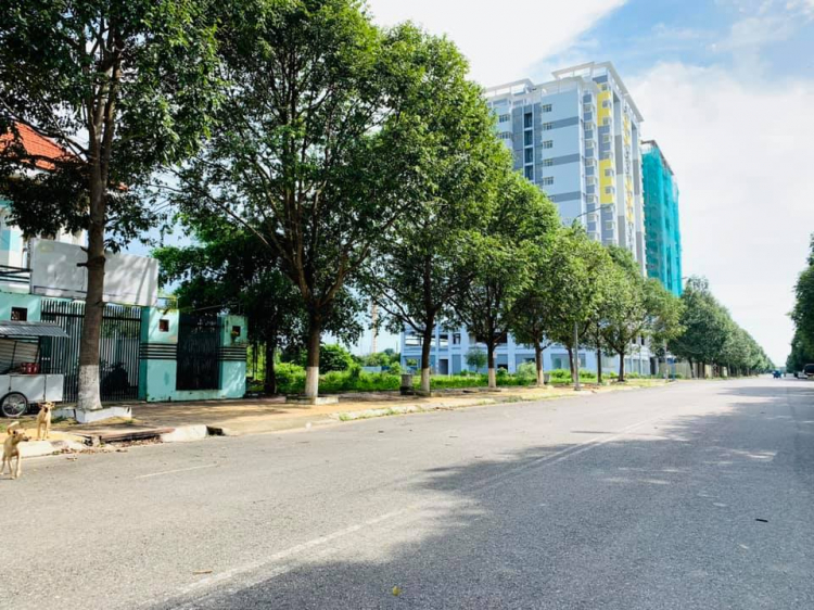 (Tây lông ngu tr 14 )Ngắm vẻ đẹp khó cưỡng của Swanpark trước khi giao nhà cho khách hàng