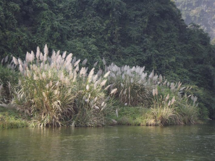 Lang thang Đông bắc bộ