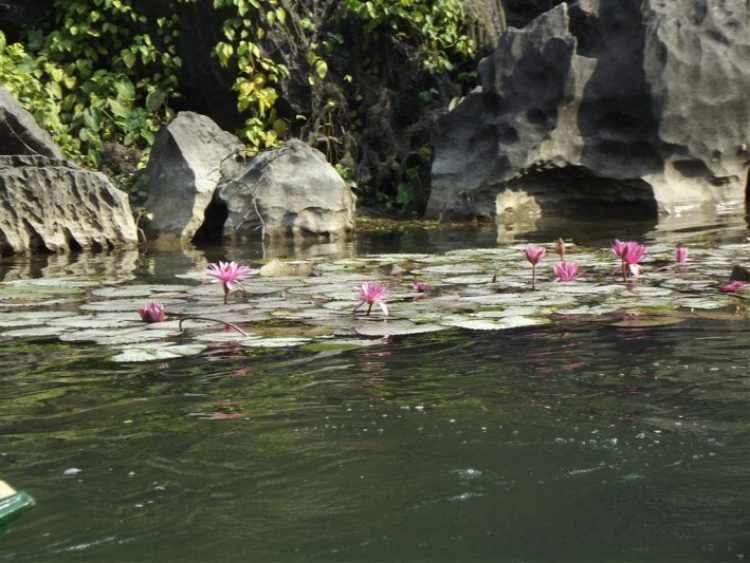 Lang thang Đông bắc bộ