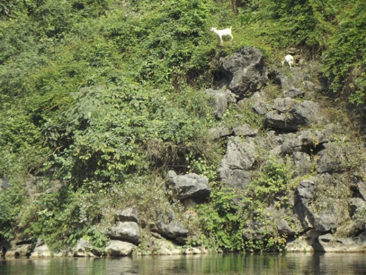 Lang thang Đông bắc bộ