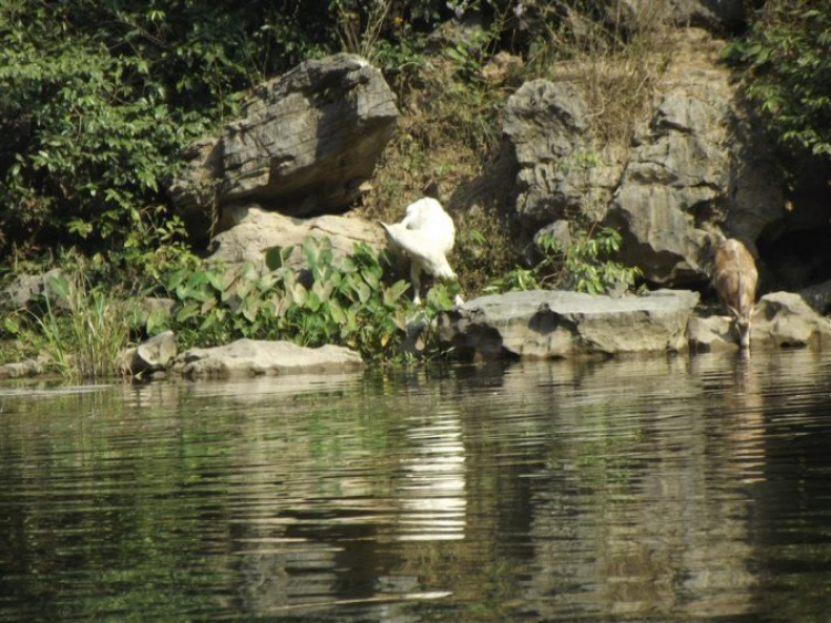 Lang thang Đông bắc bộ