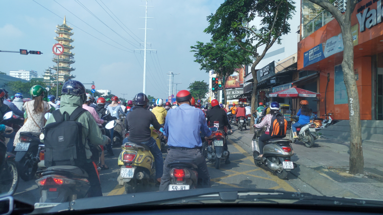 Gặp đèn đỏ, rẽ phải có thể bị tước bằng lái 3 tháng Gặp đèn đỏ, rẽ phải có thể bị tước bằng lái 3 tháng