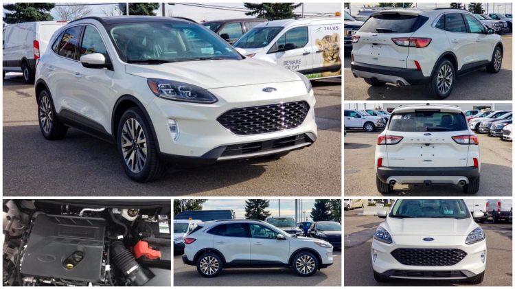 Ford Escape 2020 sắp về Việt Nam - khách hàng tương lai nói gì? Ford Escape 2020 sắp về Việt Nam - khách hàng tương lai nói gì?