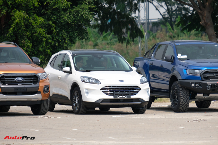 Ford Escape 2020 sắp về Việt Nam - khách hàng tương lai nói gì?