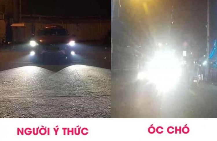 Độ đèn led - Ngu mà chảnh