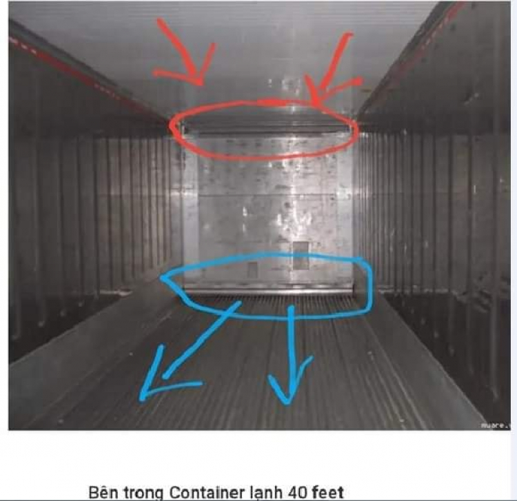 Cách tự giải cứu bản thân khi bị nhốt trong container lạnh!