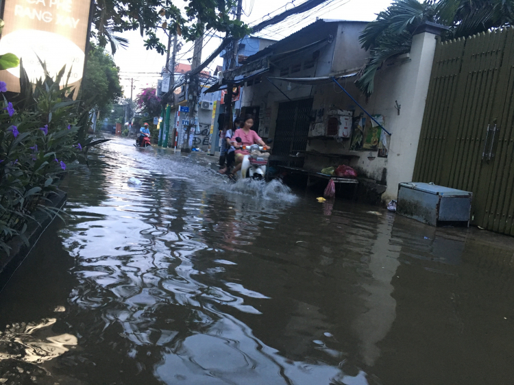 Đất lẻ Hiệp Bình Chánh giá bao nhiêu? (Mới)