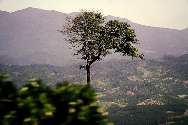 Kể chuyện tôi đi du lịch Buôn Mê bằng Land cái bang