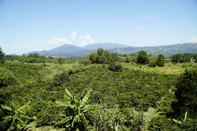 Kể chuyện tôi đi du lịch Buôn Mê bằng Land cái bang