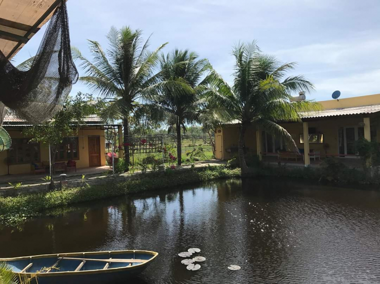 Lagi có gì chơi mấy anh ? Lagi có gì chơi mấy anh ?