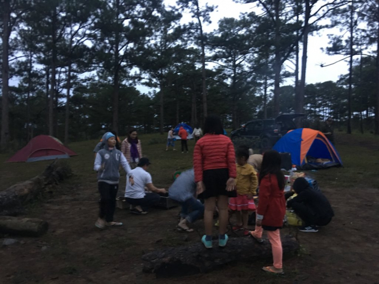 Địa điểm camping Đà Lạt? Suối Vàng?