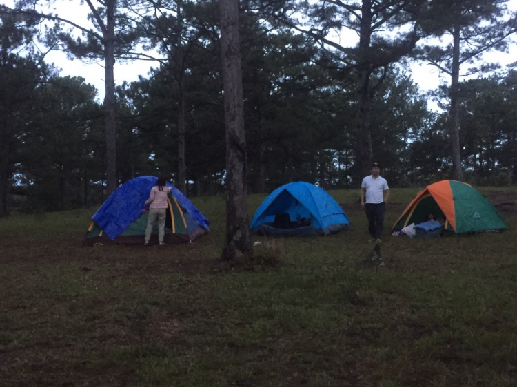 Địa điểm camping Đà Lạt? Suối Vàng?