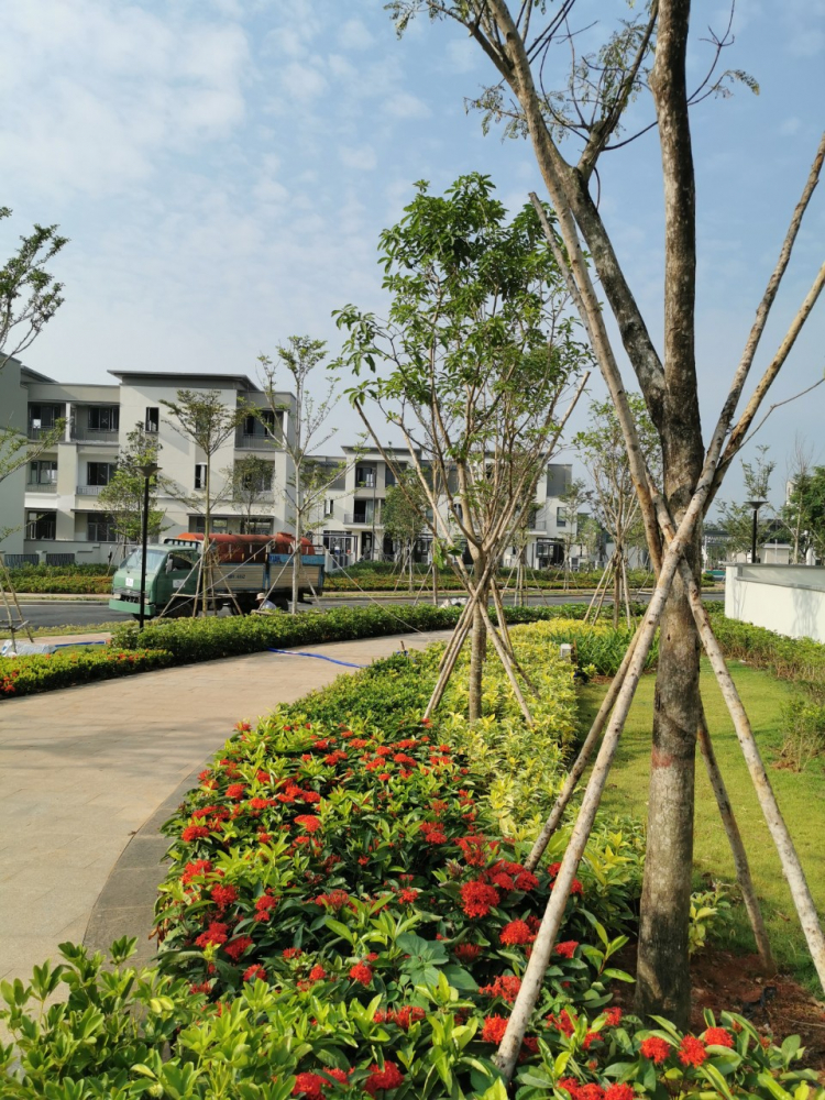 (Tây lông ngu tr 14 )Ngắm vẻ đẹp khó cưỡng của Swanpark trước khi giao nhà cho khách hàng (Tây lông ngu tr 14 )Ngắm vẻ đẹp khó cưỡng của Swanpark trước khi giao nhà cho khách hàng