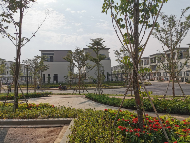 (Tây lông ngu tr 14 )Ngắm vẻ đẹp khó cưỡng của Swanpark trước khi giao nhà cho khách hàng (Tây lông ngu tr 14 )Ngắm vẻ đẹp khó cưỡng của Swanpark trước khi giao nhà cho khách hàng