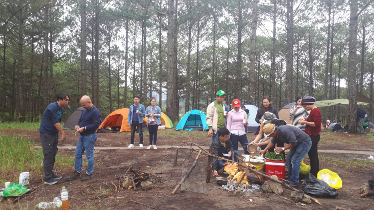 Địa điểm camping Đà Lạt? Suối Vàng? Địa điểm camping Đà Lạt? Suối Vàng?