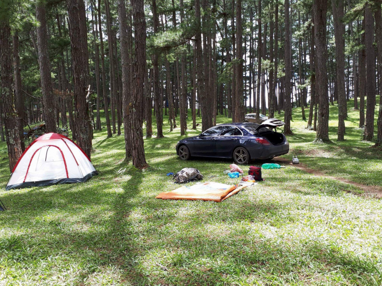 Địa điểm camping Đà Lạt? Suối Vàng?