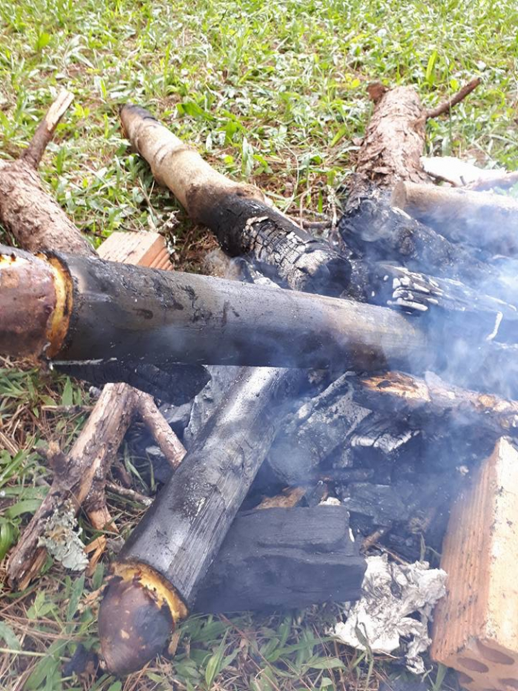 Địa điểm camping Đà Lạt? Suối Vàng? Địa điểm camping Đà Lạt? Suối Vàng?