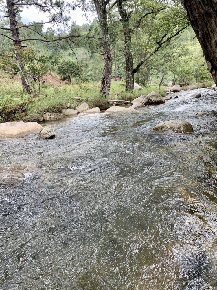 Địa điểm camping Đà Lạt? Suối Vàng? Địa điểm camping Đà Lạt? Suối Vàng?