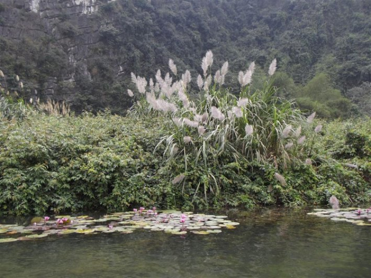 Lang thang Đông bắc bộ