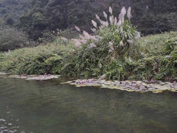 Lang thang Đông bắc bộ