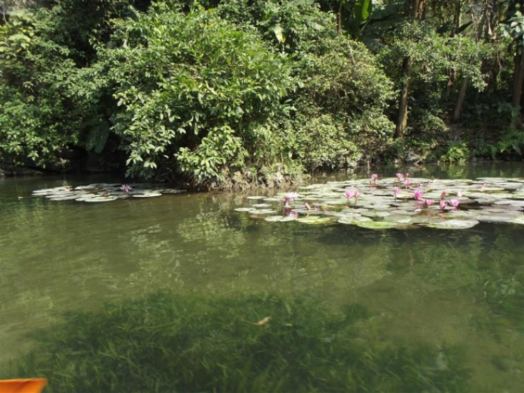 Lang thang Đông bắc bộ